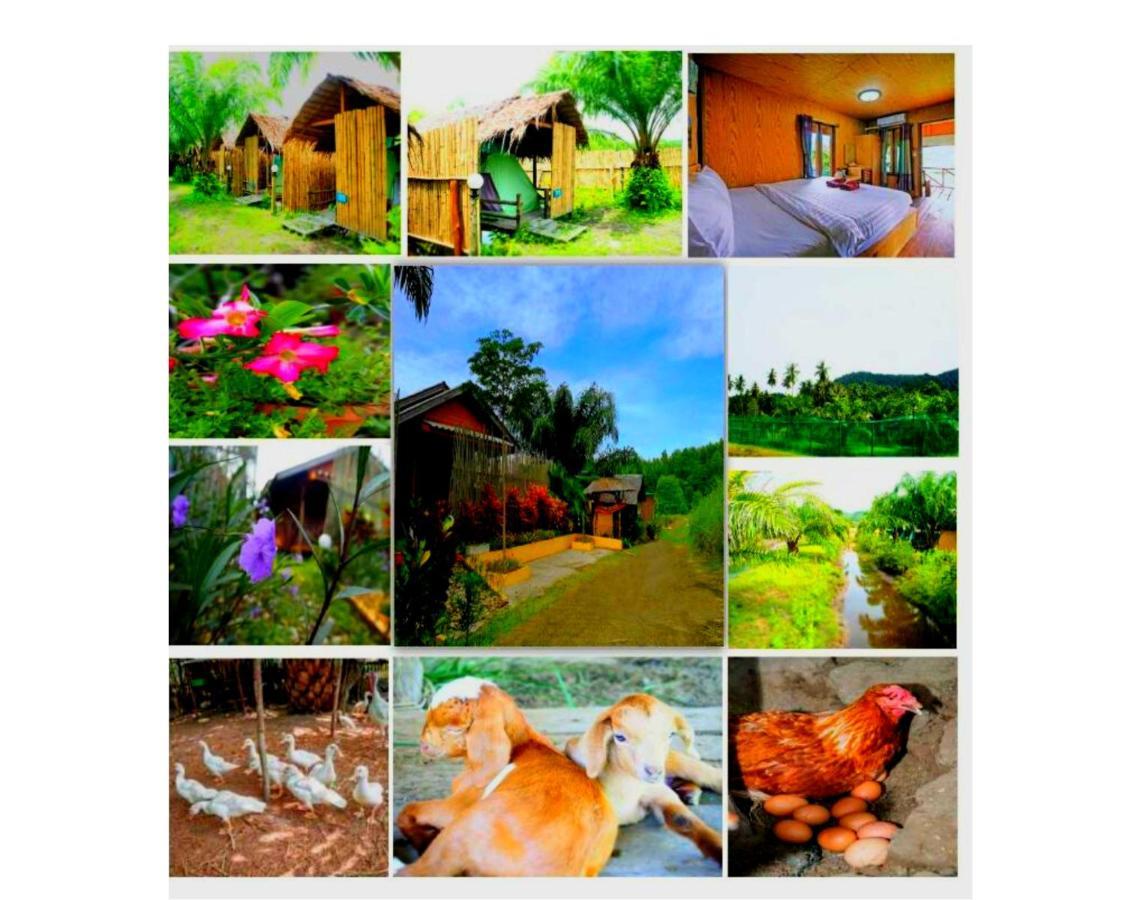Yaoisland Resort And Farm Ko Yao Εξωτερικό φωτογραφία