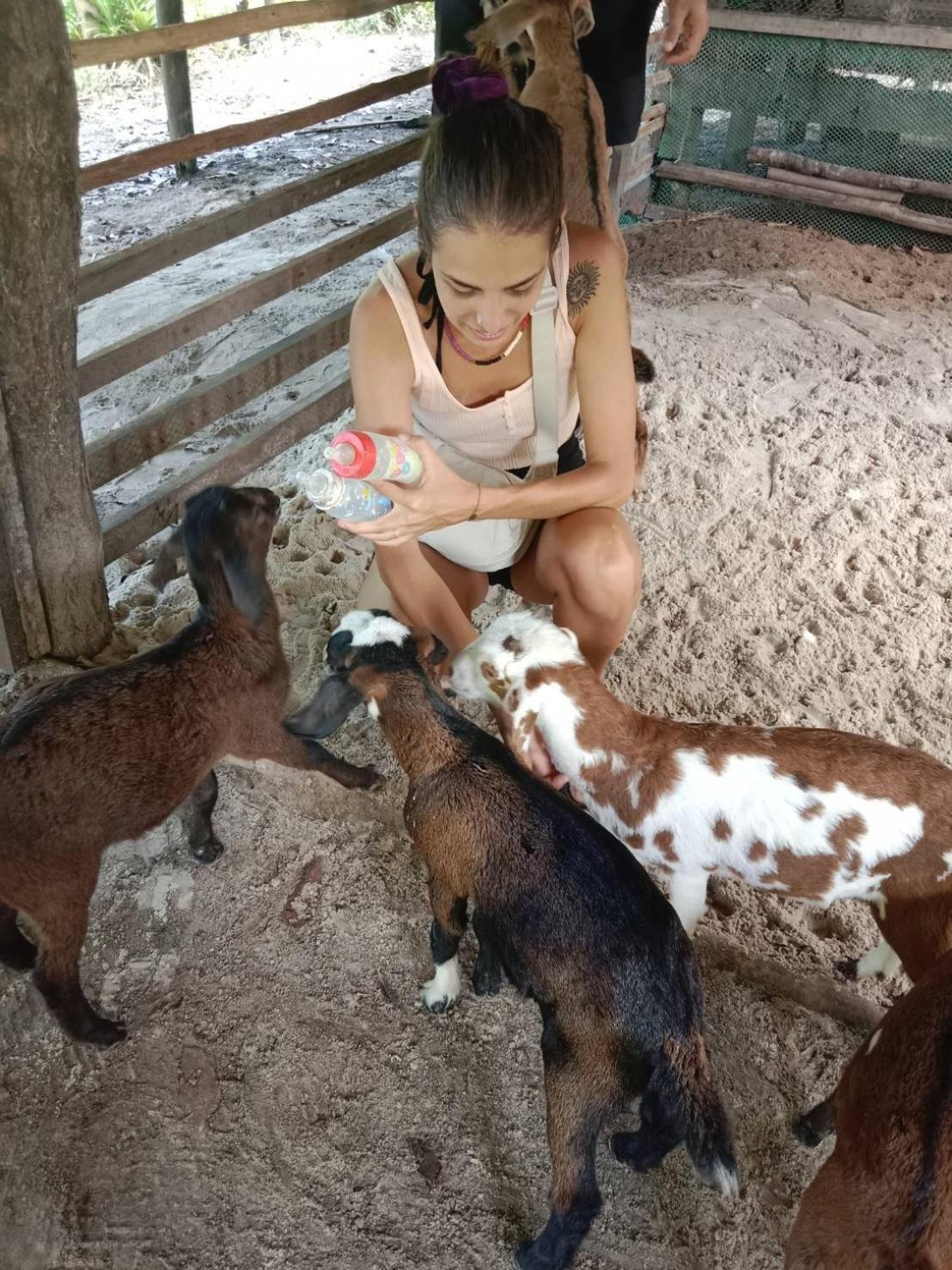 Yaoisland Resort And Farm Ko Yao Εξωτερικό φωτογραφία